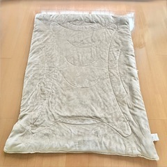 ニトリ　シングル　洗濯可　そのまま使える　掛け布団　毛布の画像