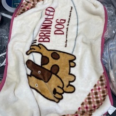 2子供用の毛布2つセット
の画像