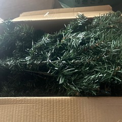 クリスマスツリー　　
の画像