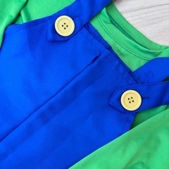 ルイージ なりきりセットの画像