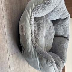 犬用クッションの画像