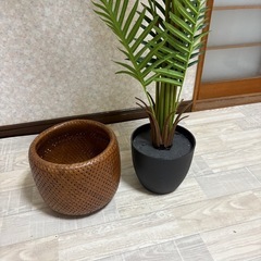 人工観葉植物の画像