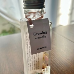 ハーバリウムの画像