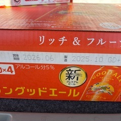 キリングッドエール3ケースの画像