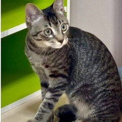 明るく良い子なボク