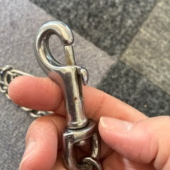 犬のチェーンの画像