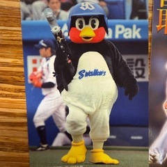 カルビー　　プロ野球カードの画像