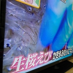 AQUOS 32型 2019年製 テレビ 売りますの画像