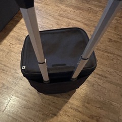 ペット キャリーケース   2段 キャリーバッグ 2匹用の画像