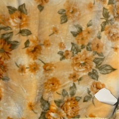 毛布　新品の画像