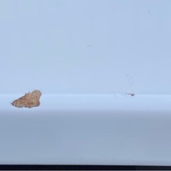 シオン89 ダストBOX付　カウンター（BR）の画像