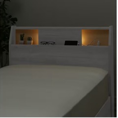 ニトリベット収納付きの画像