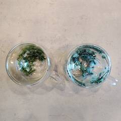 二重構造・ダブルウォールグラス２つセット（透明 / 白と青の花入り）の画像