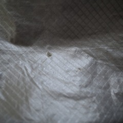 タッソUL（tasso UL）ogawaの画像