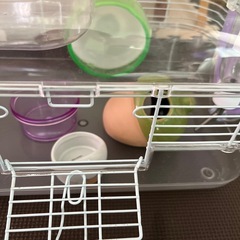 ハムスターゲージの画像