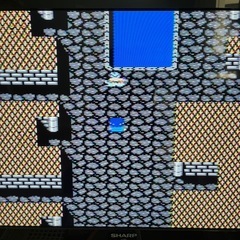 ファミコン　サンサーラ・ナーガの画像