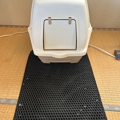 猫のトイレの画像