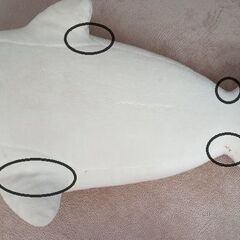 ゴマちゃん？の特大ぬいぐるみの画像