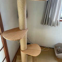 キャットタワーの画像