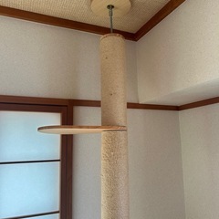 キャットタワーの画像