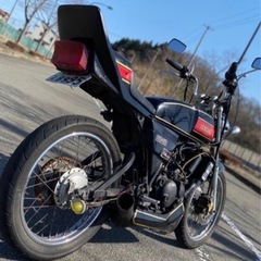 rz50 アンダーカウル　社外の画像