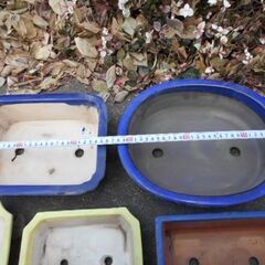 盆栽鉢5個の画像