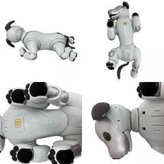 170971 現状品 SONY ソニー AIBO アイボ ERS-1000  動作確認済み [0000000002544]の画像