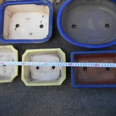 盆栽鉢5個の画像