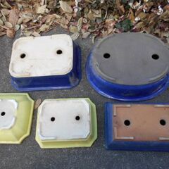 盆栽鉢5個の画像