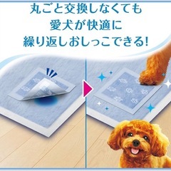 [貼るだけ キレイ・ラク・エコ] デオシート キレイパッド Mサイズ 64枚 犬用 トイレシート パッドの画像