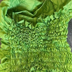 フラダンス 衣装の画像