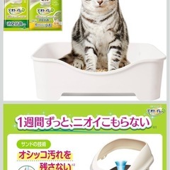 猫トイレの画像