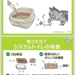 猫トイレの画像