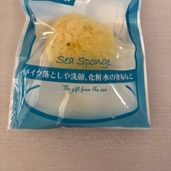 天然海綿　　一個の画像
