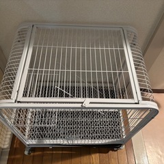 子猫用ゲージの画像