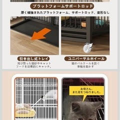 子猫用ゲージの画像