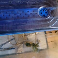 水槽中古の画像