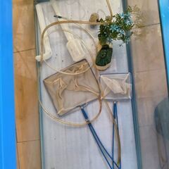 水槽中古の画像