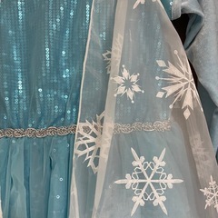 エルサドレス110の画像