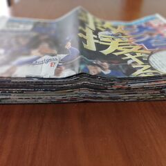 ニッカンスポーツ 2025年11月まとめ売り スポーツ新聞の画像