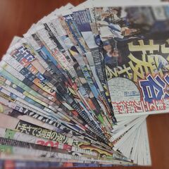 ニッカンスポーツ 2025年11月まとめ売り スポーツ新聞の画像