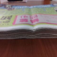 ニッカンスポーツ 2025年11月まとめ売り スポーツ新聞の画像