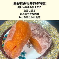 【蜂屋柿系 松井柿】干し柿用渋柿　在来渋柿／岐阜産／完熟手取り　お引取り用の画像