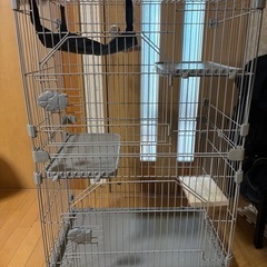 猫  ケージの画像