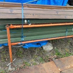 畑柱選別済みの画像