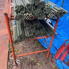 畑柱選別済みの画像