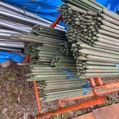 畑柱選別済みの画像