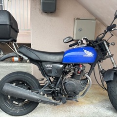 エイプ 50 Fiの画像