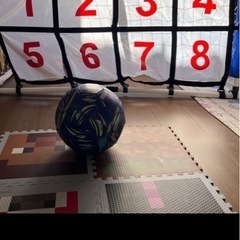 ターゲットストライカー新品同様の画像