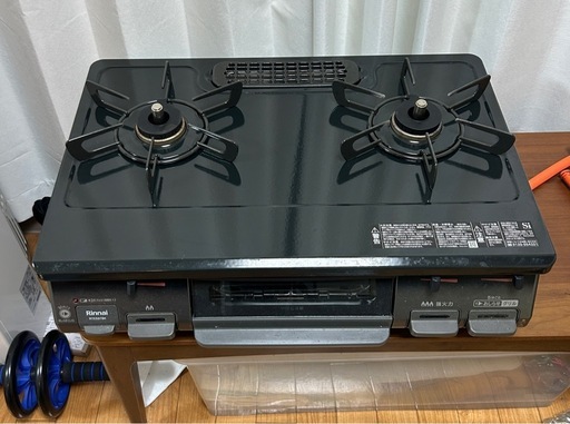 Rhacodactylus ショップ ミカドヤモリ 洋書12/15迄の限定値下価格！